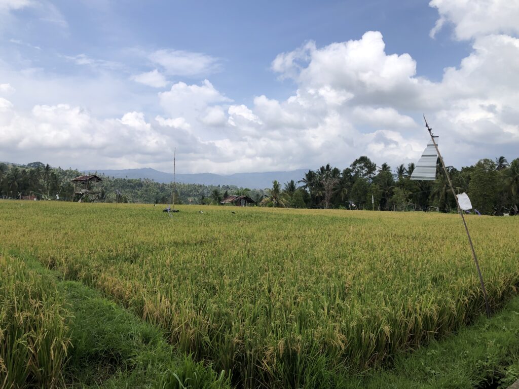 Rencontre authentique avec Ganyar dans un village balinais près d’Ubud